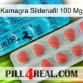 Kamagra Sildenafil 100Mg new14